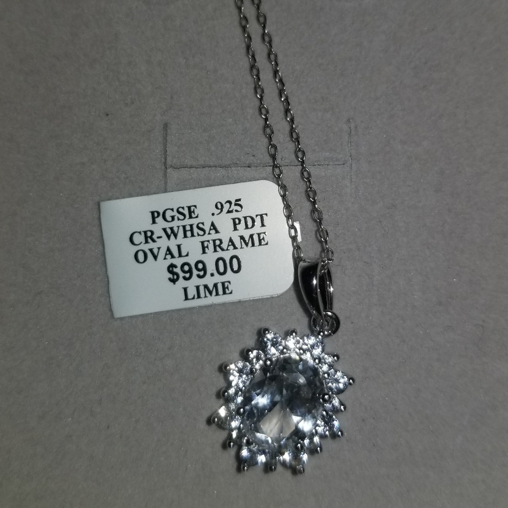 Brand new Zales Pendant with Chain